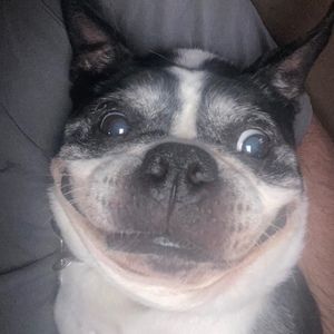 Meet your Posher, Miranda